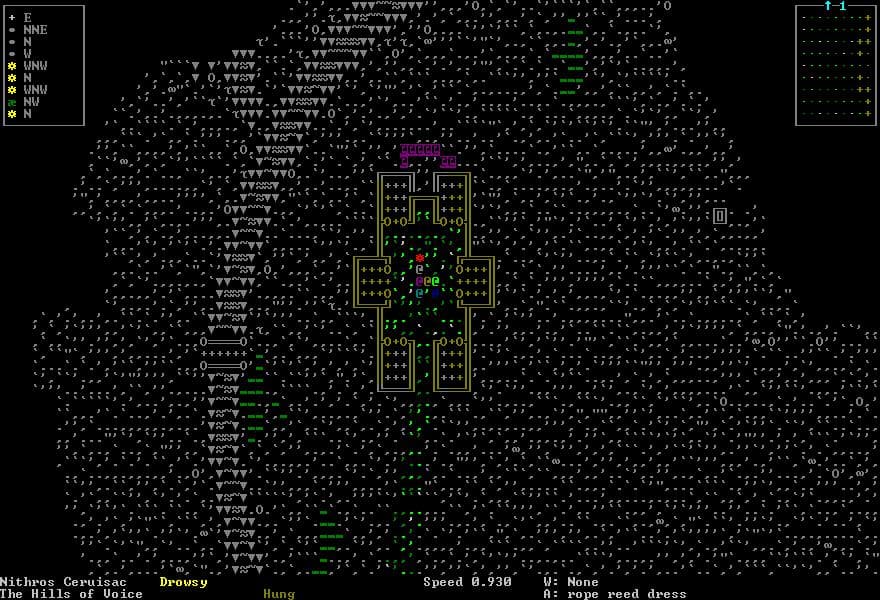 Dwarf Fortress